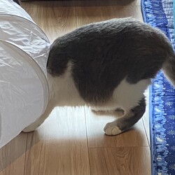 はる君のピンチ