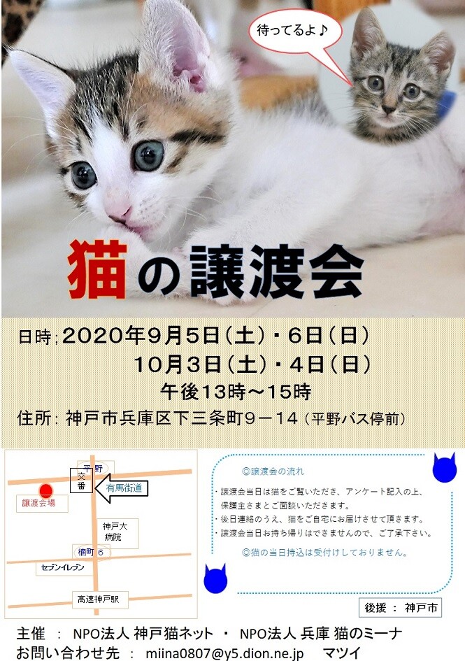 猫の譲渡会」（猫のミーナのイベント #10294） :: ペットのおうち 