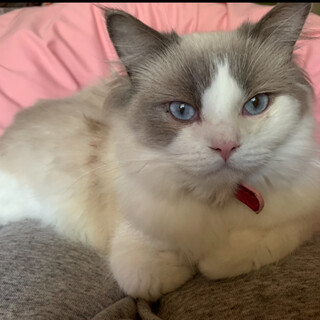 交渉中の為、一時募集停止です