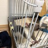 ゆっけさぁん