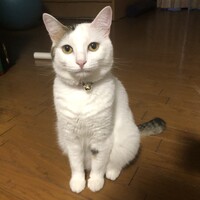なつ
