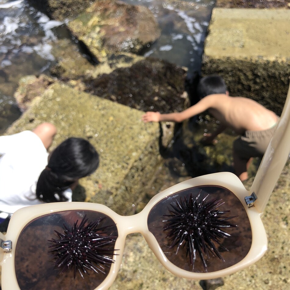 マロンのカバー写真