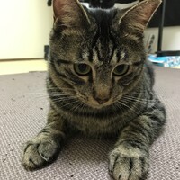 こっち
