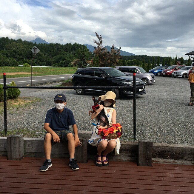 みんみんポップのカバー写真