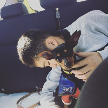 我が家の一員になった日の帰り道。散歩も知らない歩くこともできなく一から全てが始まりました。