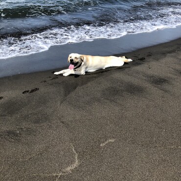 北海道の夏は短いのです
