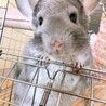 ベる