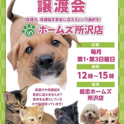 保護犬 保護猫 譲渡会inホームズ所沢店