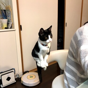 の写真