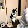 の写真
