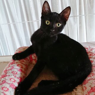 9/20西千葉☆ウッシーと兄弟♡「ジジくん」