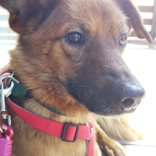 シャイで静かな男の子「ナオ」