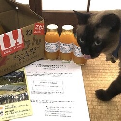 「みんな電力presents電気代ビンゴ!」サムネイル2