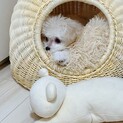 少し検討するためお時間頂いてます。