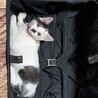 の写真