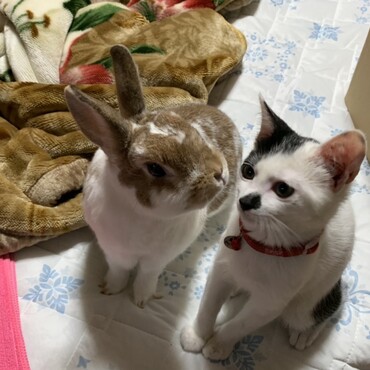 の写真