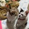 の写真