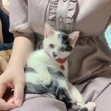 の写真