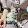 の写真