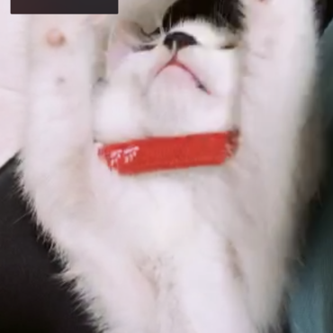 の写真