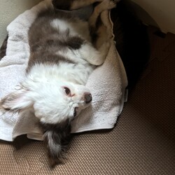 あっつい