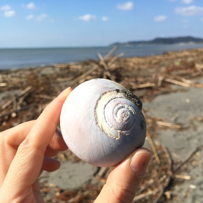 ✩TAKI✩のカバー写真