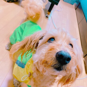 雨具で梅雨も乗り切れました＼(^^)／