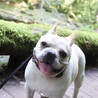 ウチナン
