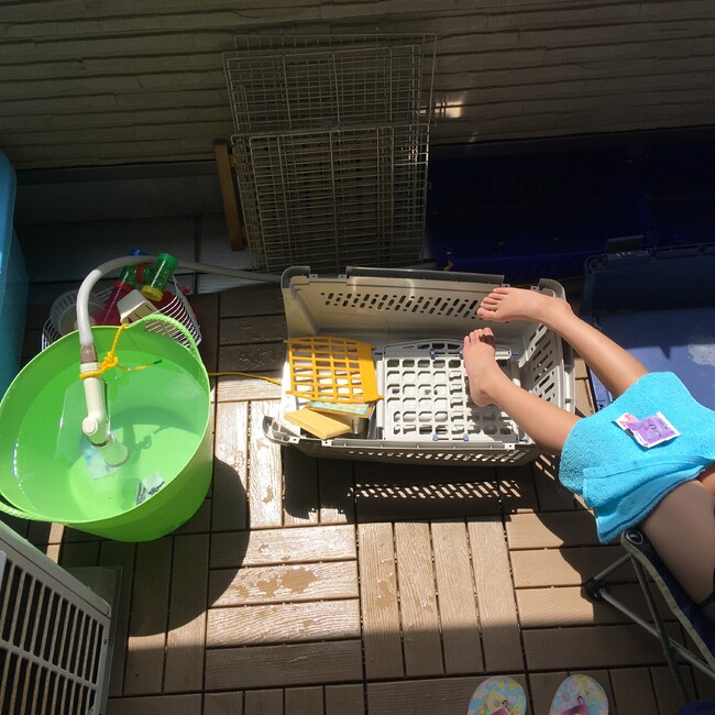 もいもいチェのカバー写真