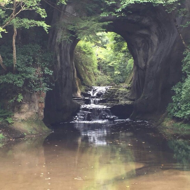 YuUk0のカバー写真