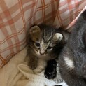 ありがとうございました(^O^)