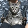 しろママあい