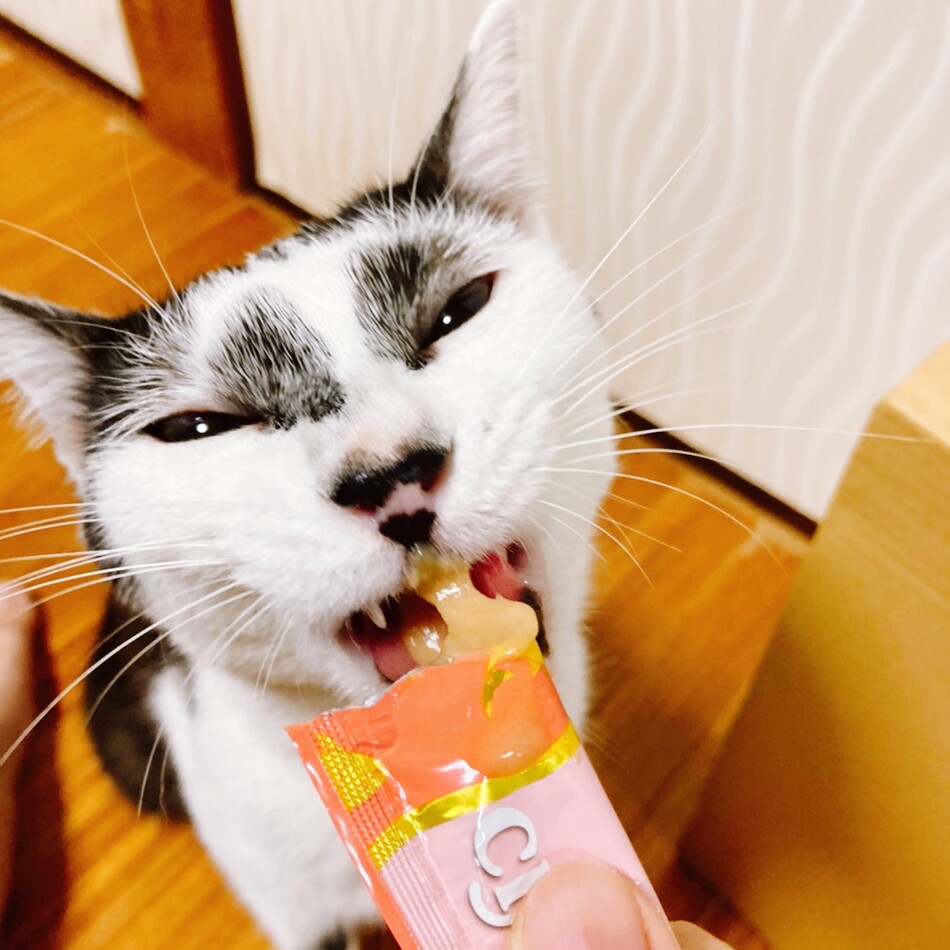 もんじろうのカバー写真