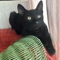 よ〜〜く見るとボクってイケメンなんだじぇ♡ タイ