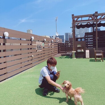 愛犬ヴィレッジのドッグラン