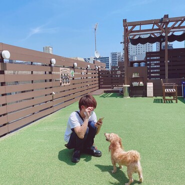 愛犬ヴィレッジのドッグラン