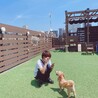 愛犬ヴィレッジのドッグラン