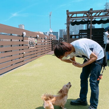 愛犬ヴィレッジのドッグラン