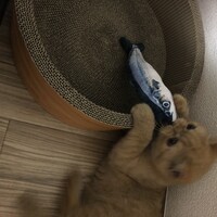 エンマ