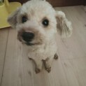 無事に一緒に住める環境お引っ越し