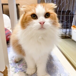 穏やかな気の良い男子「コーヒー」くん❤