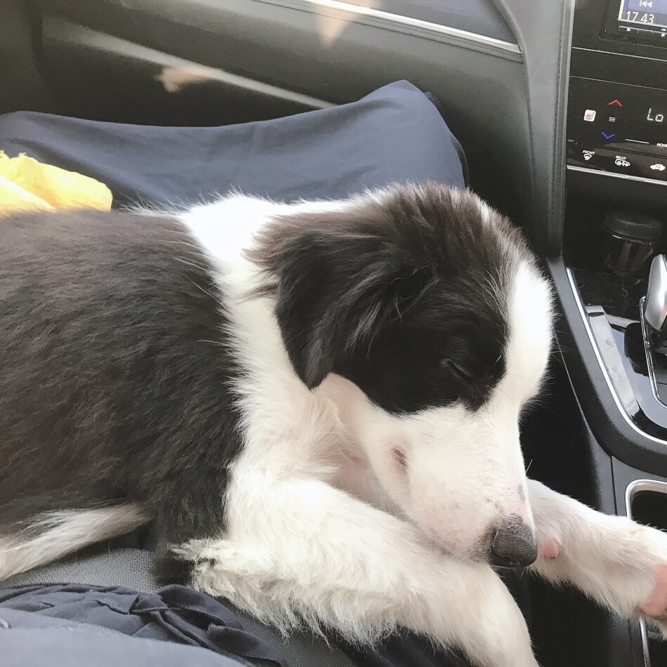 雨のカバー写真