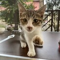 やんちゃで甘えん坊の男の子
