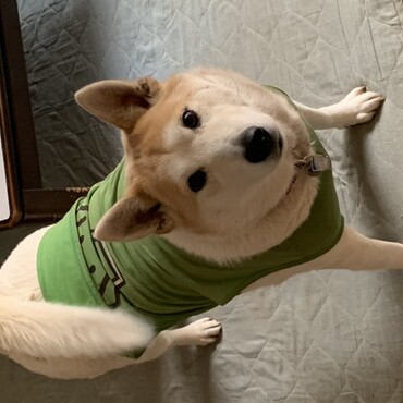 久しぶりになりますが大きくなりました！