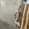 仕事から帰宅したら、伸びて寝てました（笑）可愛すぎ♡