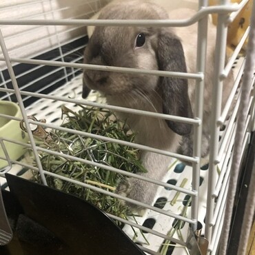 しっかりと押さえる手が可愛いすぎてパシャリ♡♡