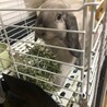 しっかりと押さえる手が可愛いすぎてパシャリ♡♡