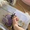 決まりました サムネイル3