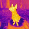 カジケン4