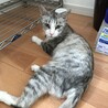 ピンキー